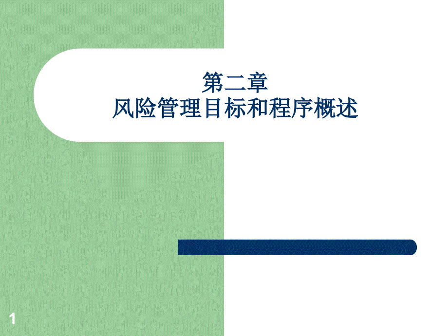 风险管理目标和程序概述_第1页