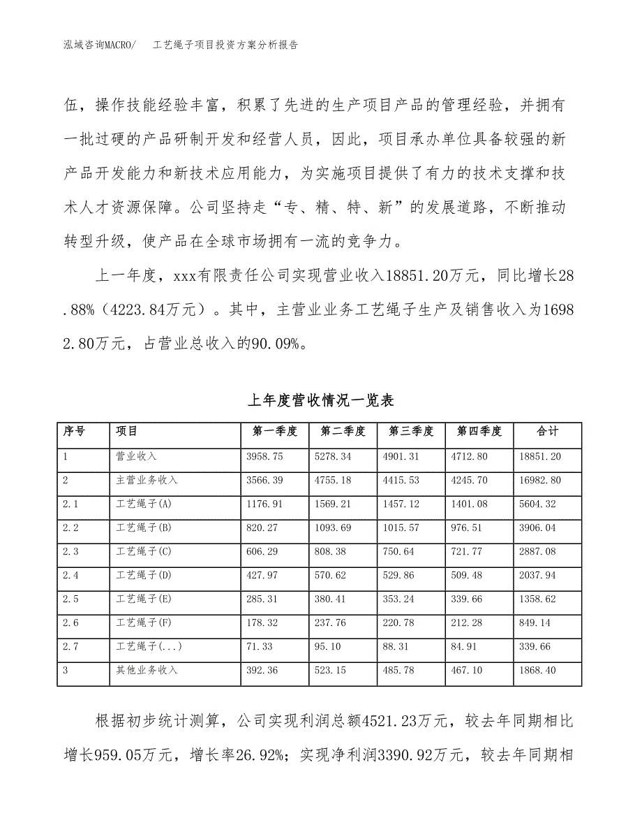 工艺绳子项目投资方案分析报告.docx_第2页