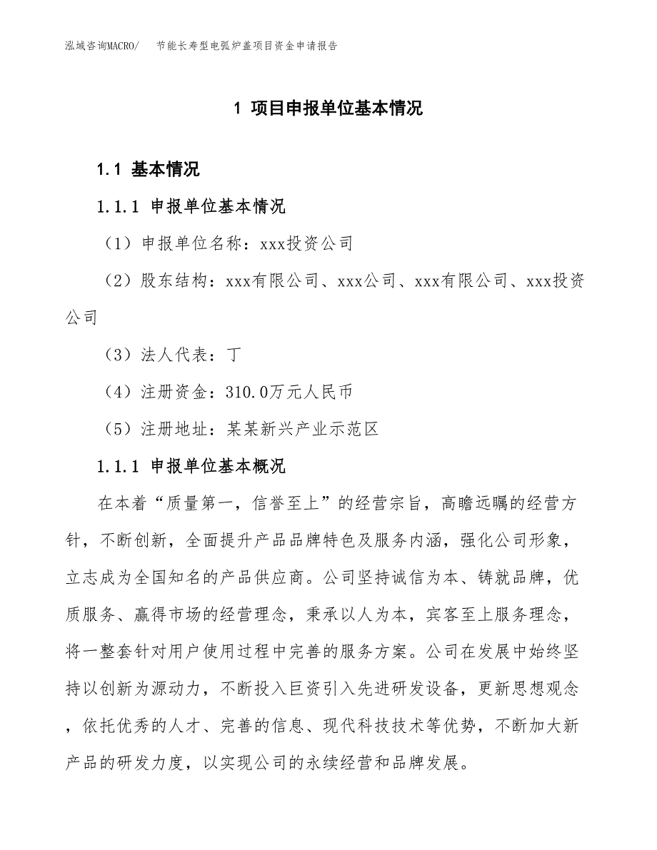 节能长寿型电弧炉盖项目资金申请报告_第3页