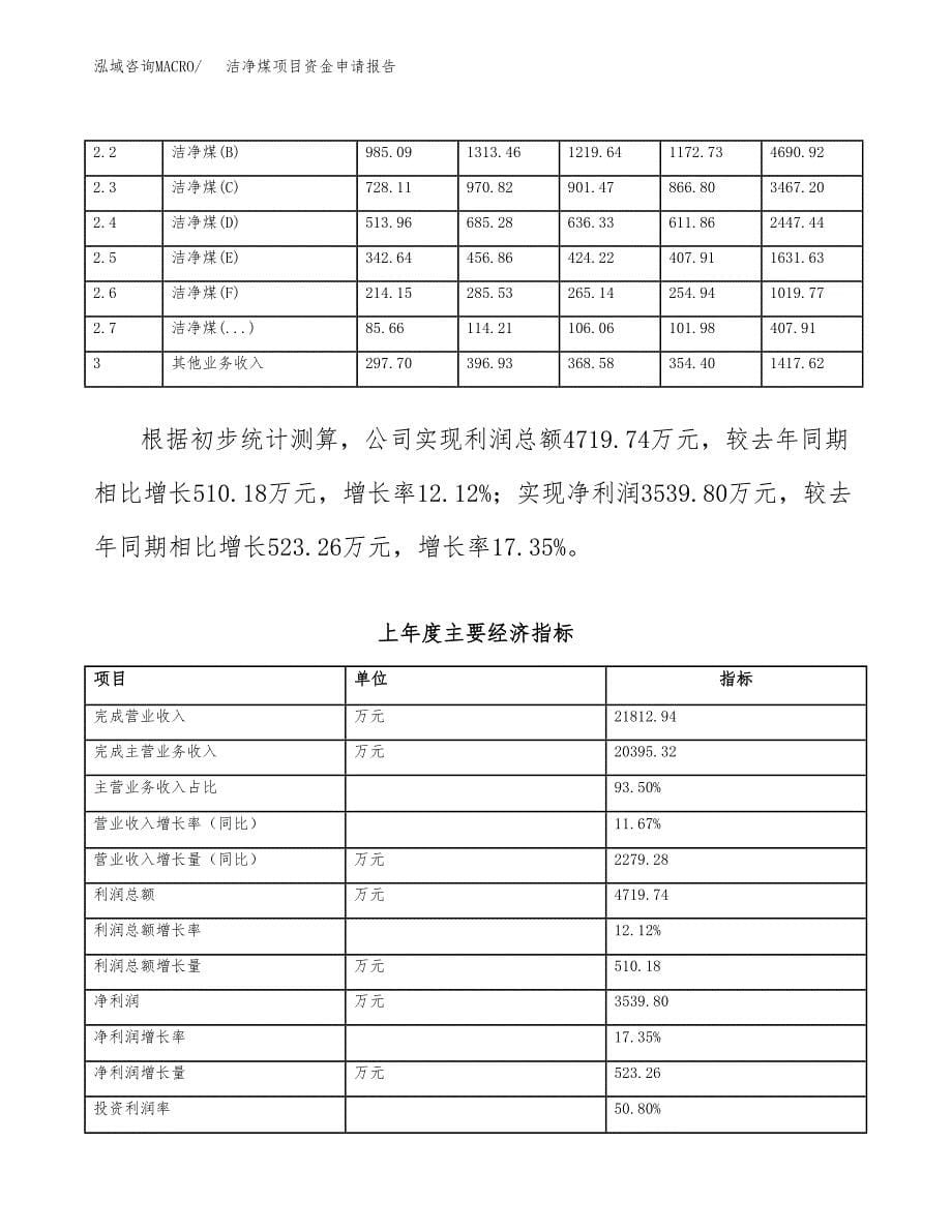 洁净煤项目资金申请报告_第5页