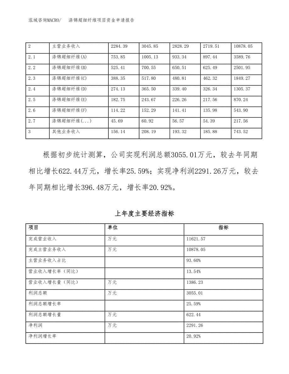 涤锦超细纤维项目资金申请报告_第5页