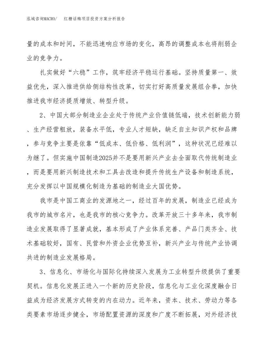 红糖话梅项目投资方案分析报告.docx_第5页