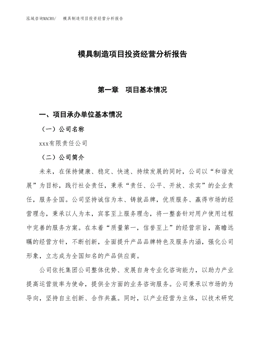 模具制造项目投资经营分析报告模板.docx_第1页