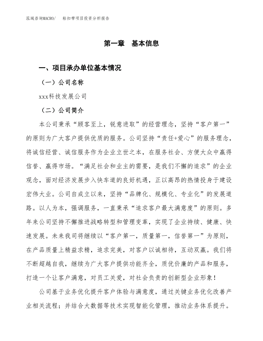 粘扣带项目投资分析报告（总投资9000万元）（44亩）_第2页