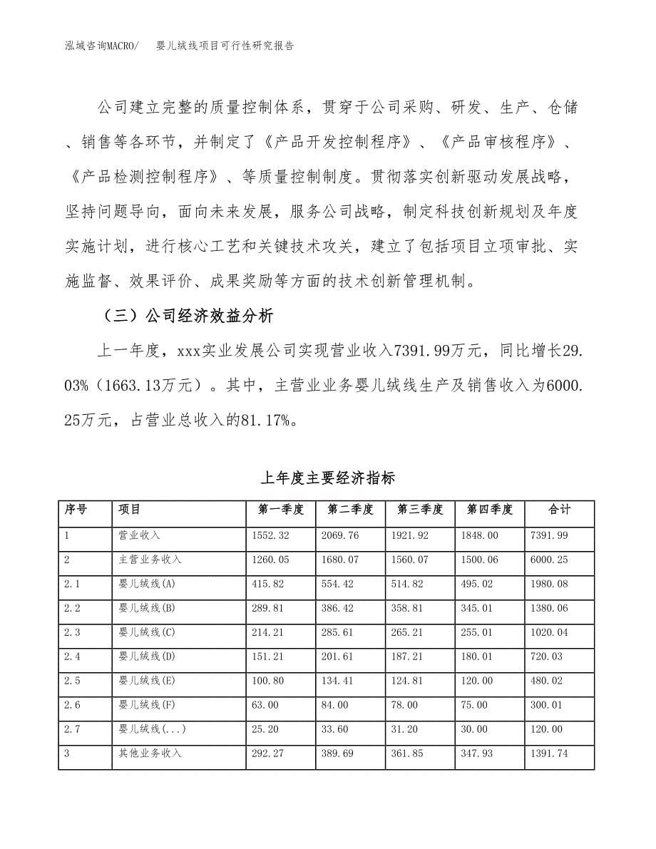 婴儿绒线项目可行性研究报告汇报设计.docx_第5页