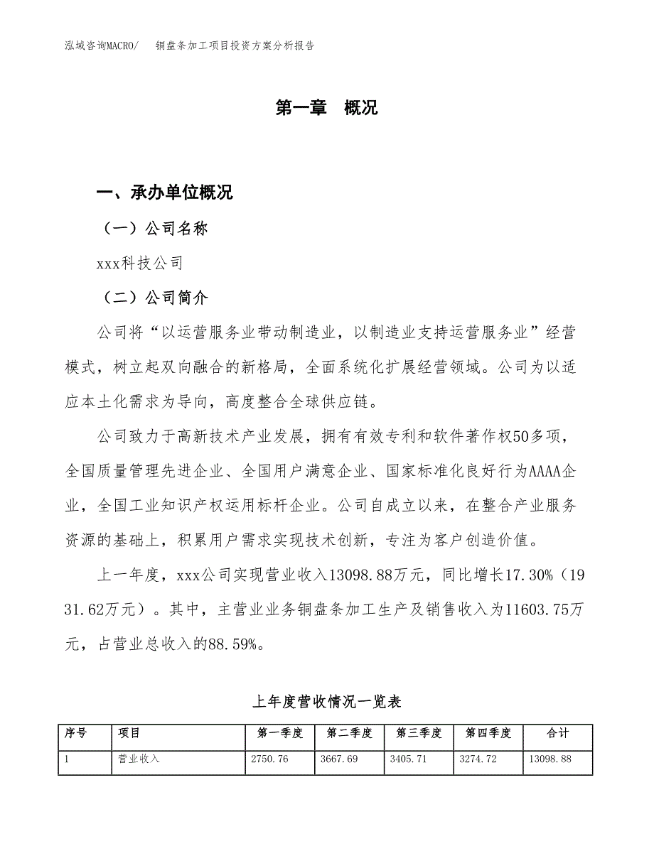 铜盘条加工项目投资方案分析报告.docx_第1页