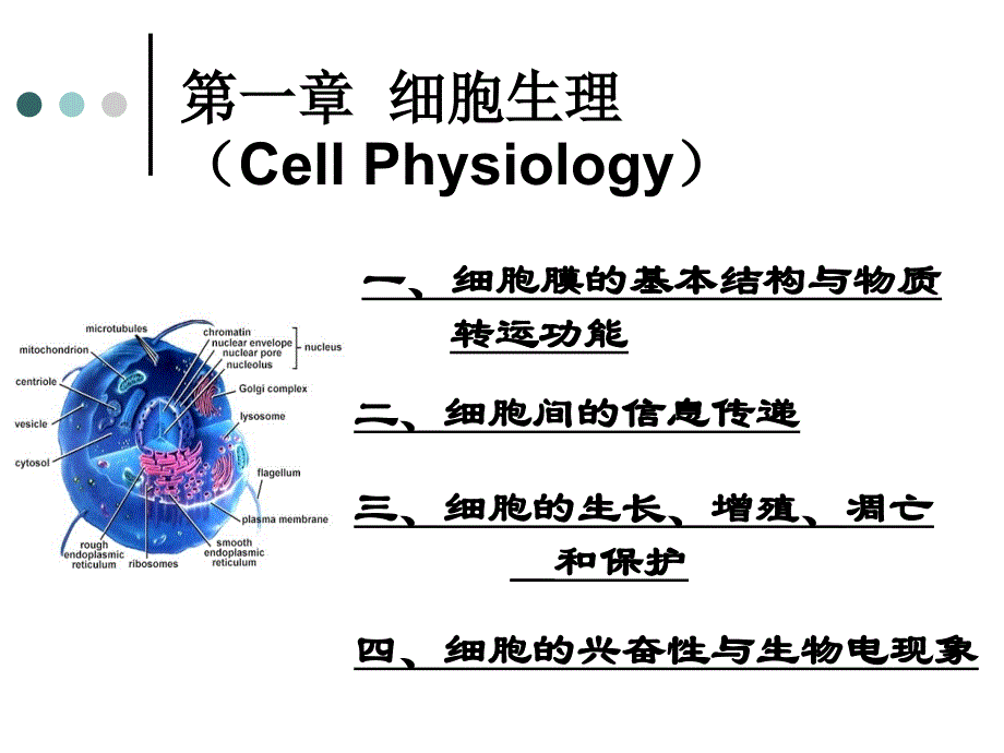 执业兽医资格考试生理学第二章 细胞生理学【cell physiology】综述_第1页