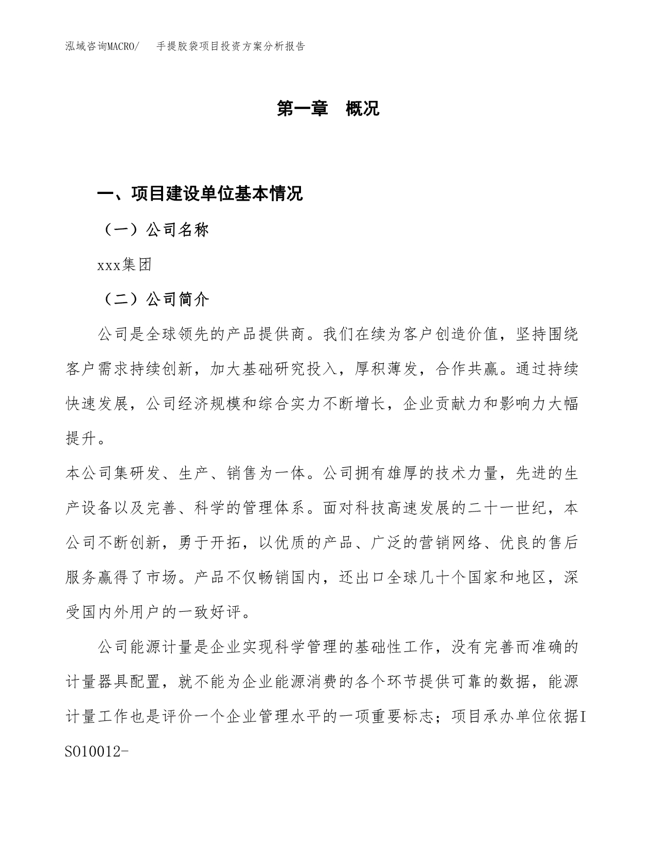 手提胶袋项目投资方案分析报告.docx_第1页