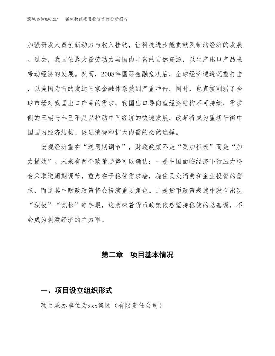 镂空拉线项目投资方案分析报告.docx_第5页