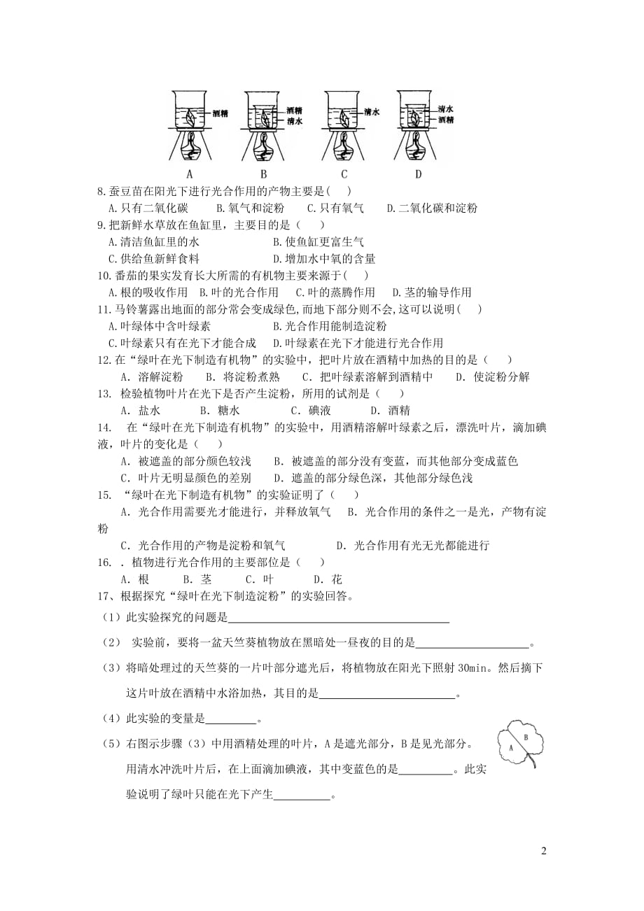 七年级生物上册3.4绿色植物通过光合作用制造有机物练案（无答案）（新版）新人教版_第2页