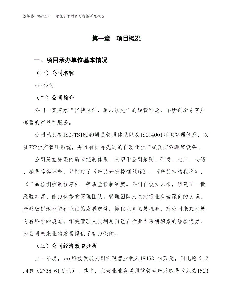 增强软管项目可行性研究报告汇报设计.docx_第4页