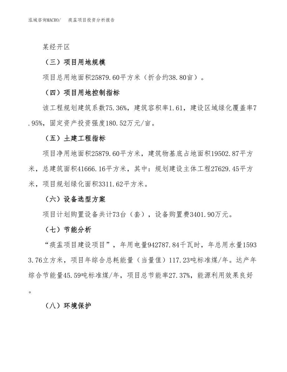 痰盂项目投资分析报告（总投资11000万元）（39亩）_第5页