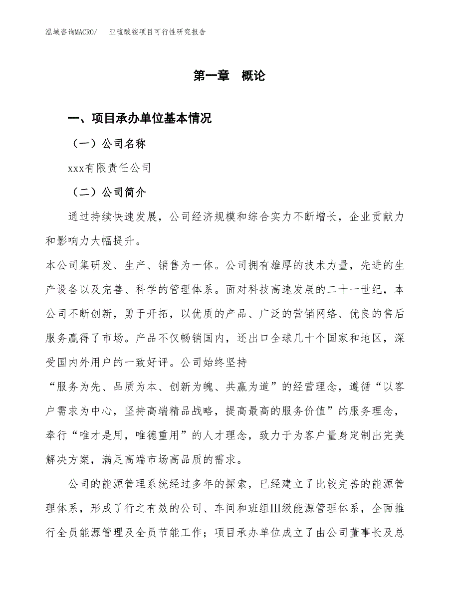 亚硫酸铵项目可行性研究报告汇报设计.docx_第4页