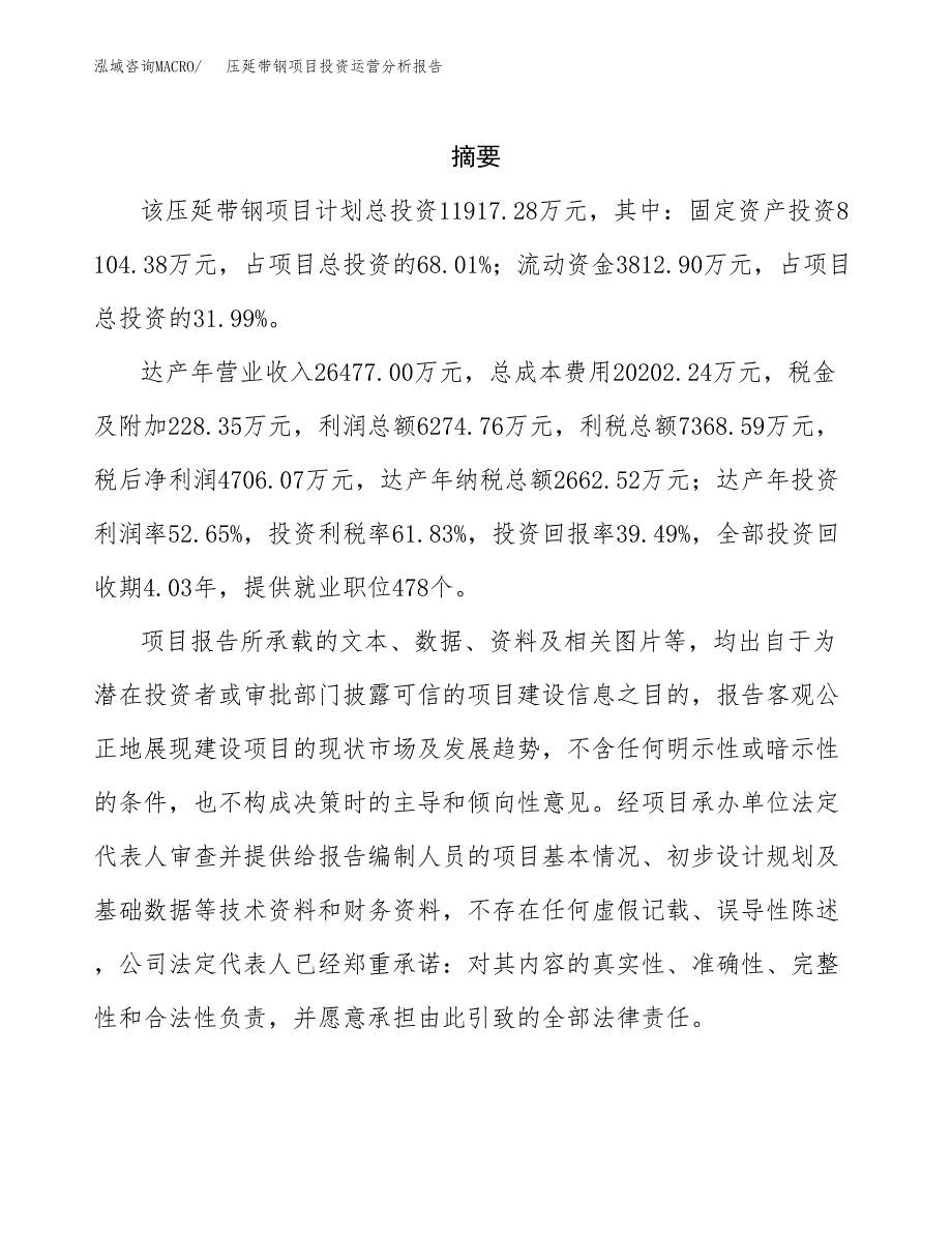 压延带钢项目投资运营分析报告参考模板.docx_第2页