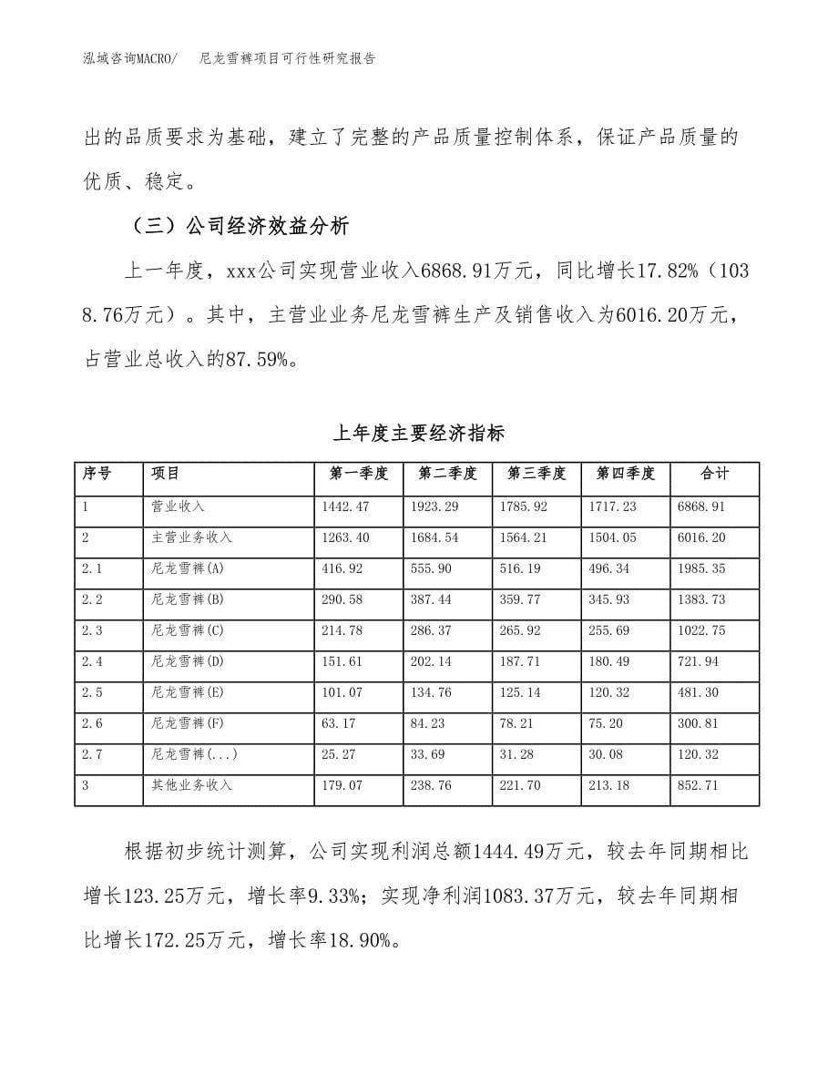 尼龙雪裤项目可行性研究报告汇报设计.docx_第5页