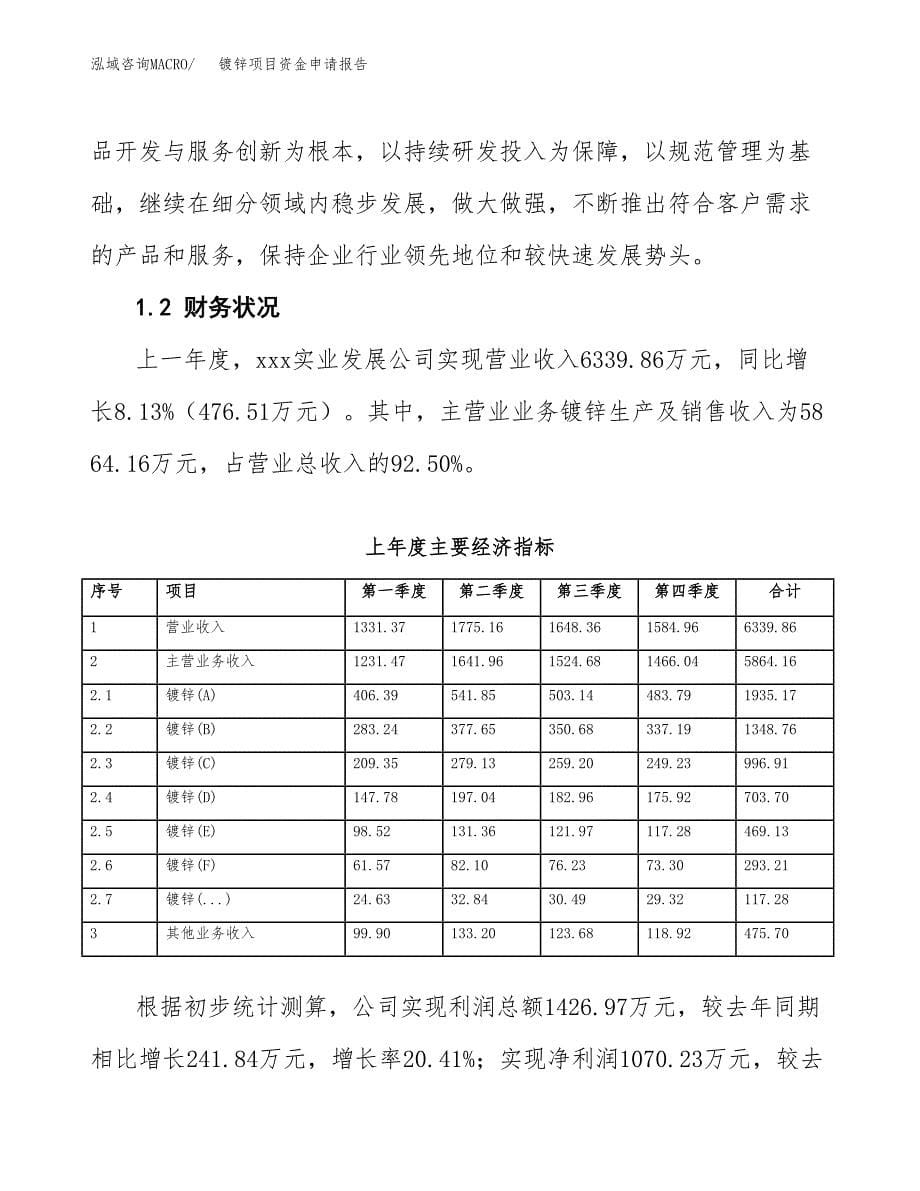 镀锌项目资金申请报告_第5页