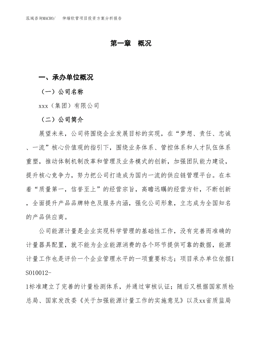 伸缩软管项目投资方案分析报告.docx_第1页