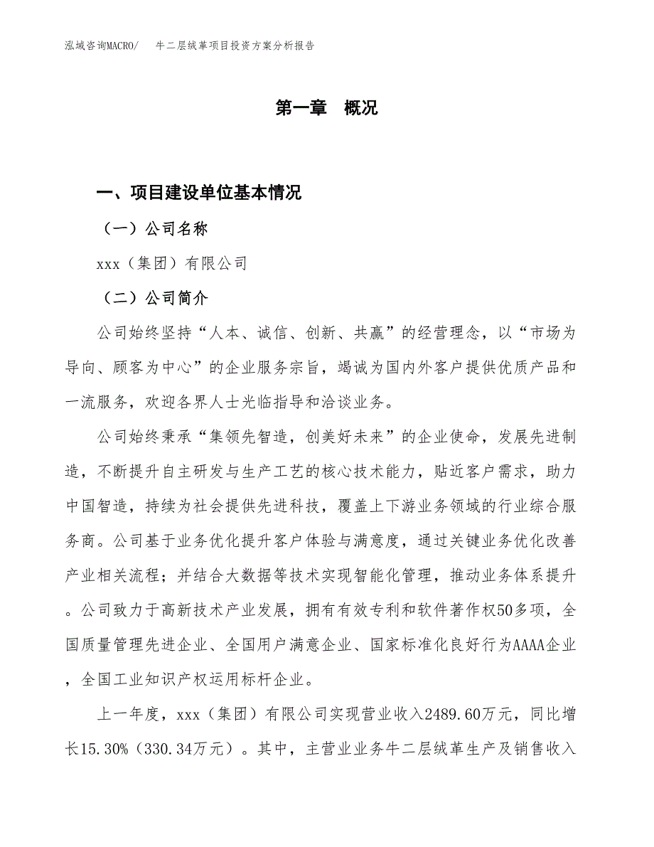 牛二层绒革项目投资方案分析报告.docx_第1页