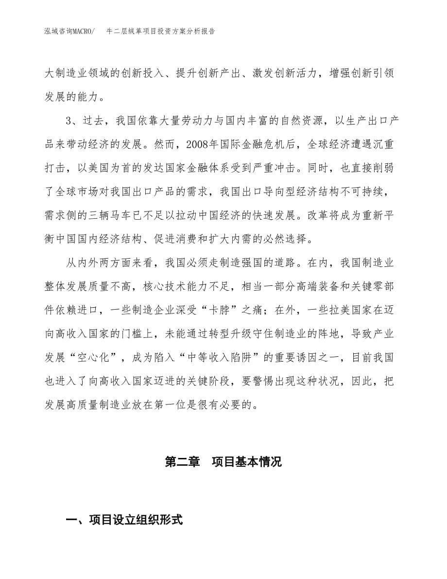 牛二层绒革项目投资方案分析报告.docx_第5页