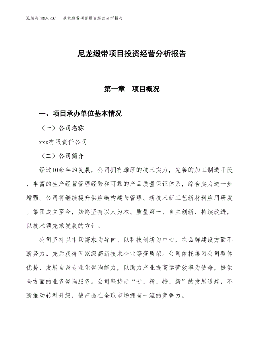 尼龙缎带项目投资经营分析报告模板.docx_第1页