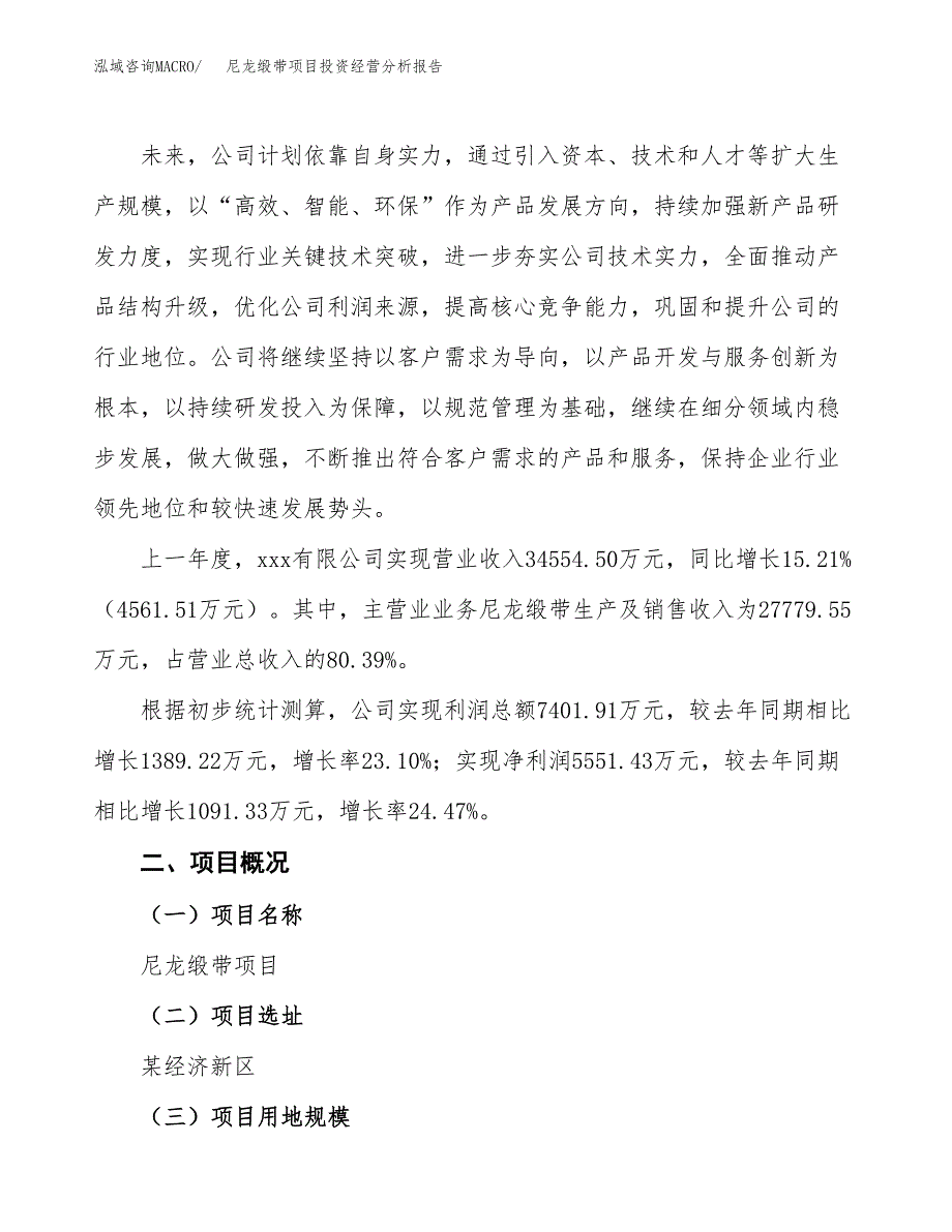 尼龙缎带项目投资经营分析报告模板.docx_第2页