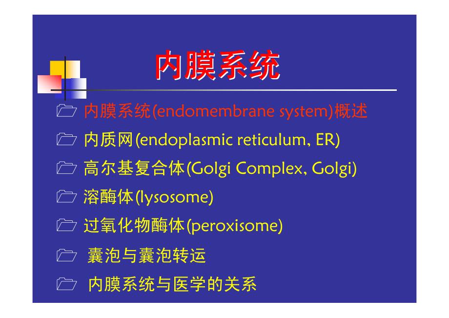 医学细胞生物学 第五章 内膜系统_第2页