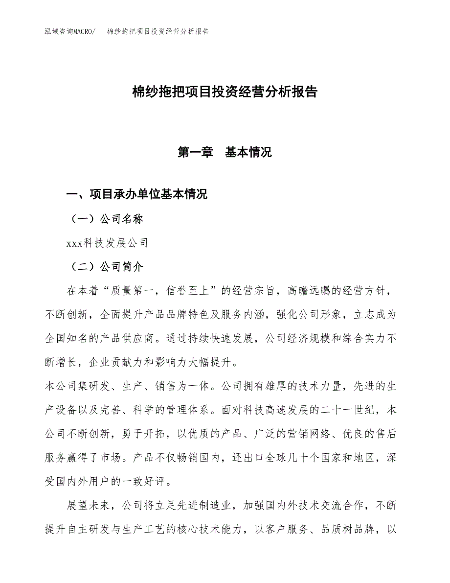 棉纱拖把项目投资经营分析报告模板.docx_第1页