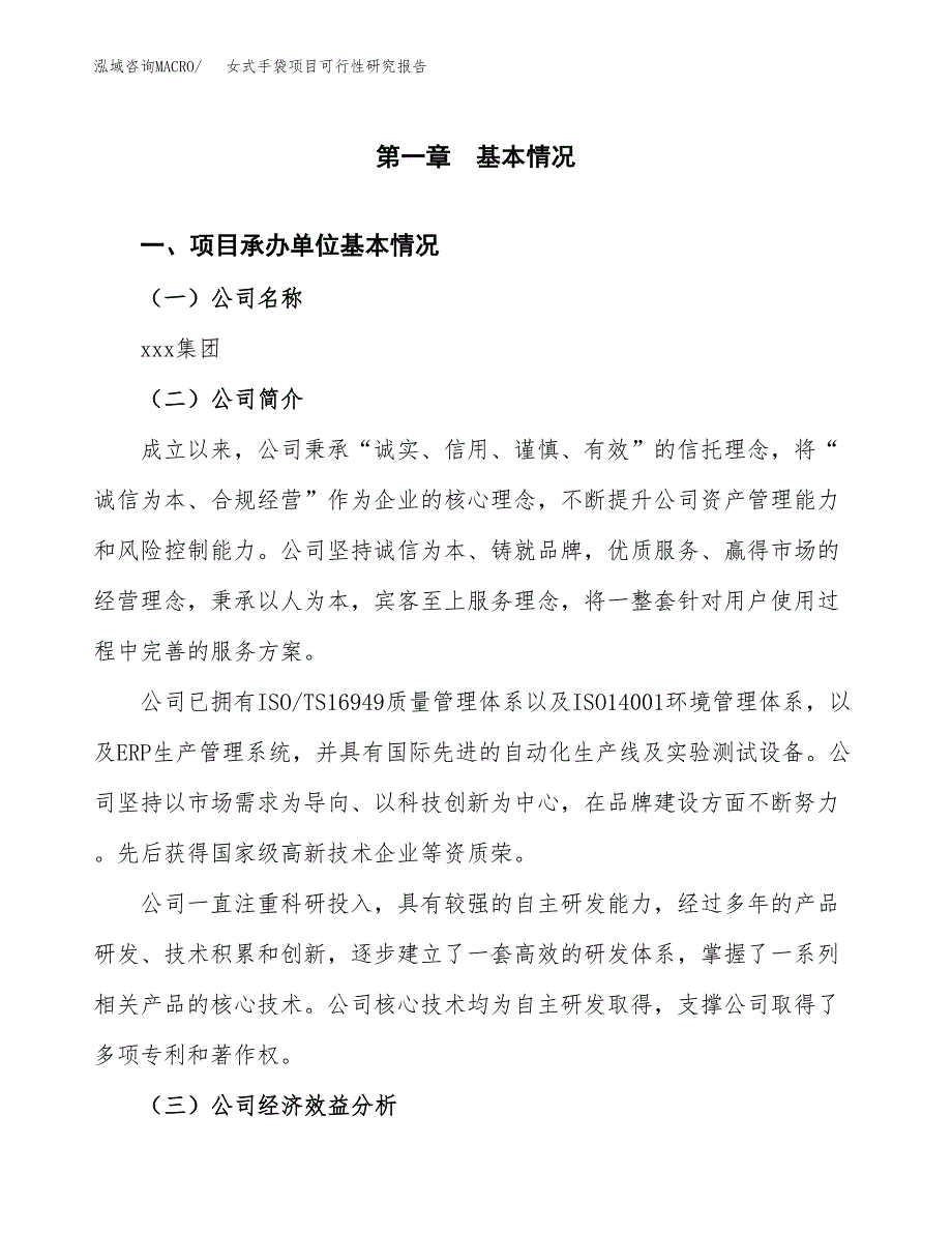 女式手袋项目可行性研究报告汇报设计.docx_第4页