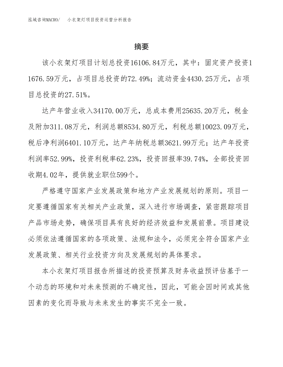 小衣架灯项目投资运营分析报告参考模板.docx_第2页