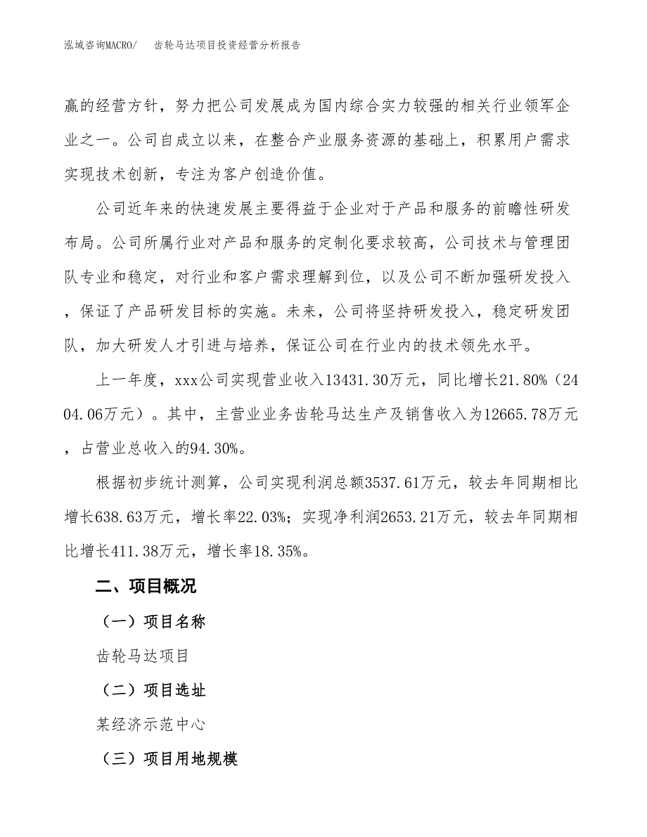 齿轮马达项目投资经营分析报告模板.docx_第2页