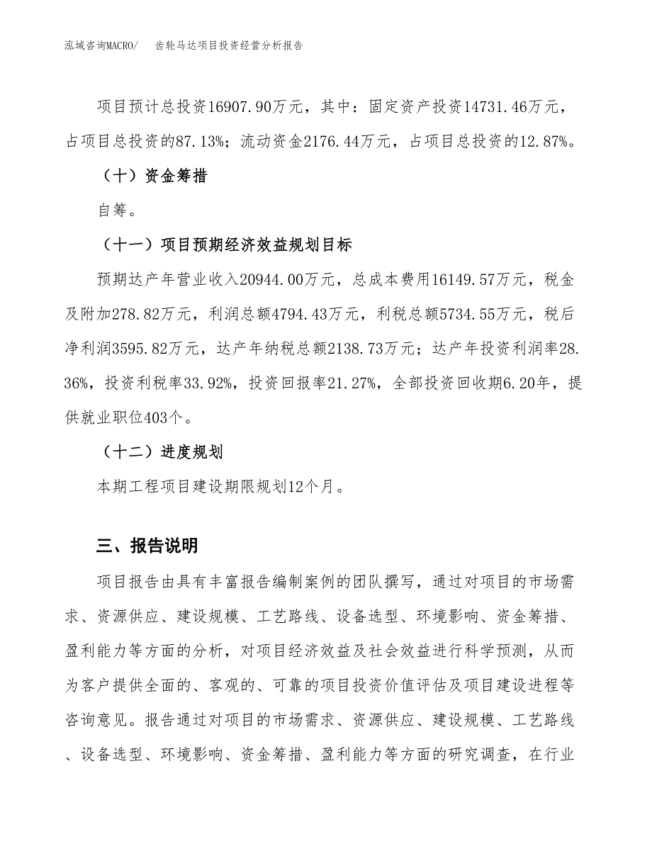 齿轮马达项目投资经营分析报告模板.docx_第4页