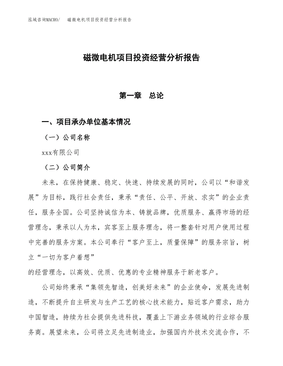 磁微电机项目投资经营分析报告模板.docx_第1页