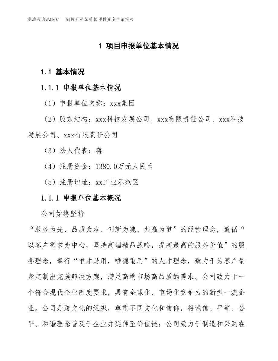 钢板开平纵剪切项目资金申请报告_第3页