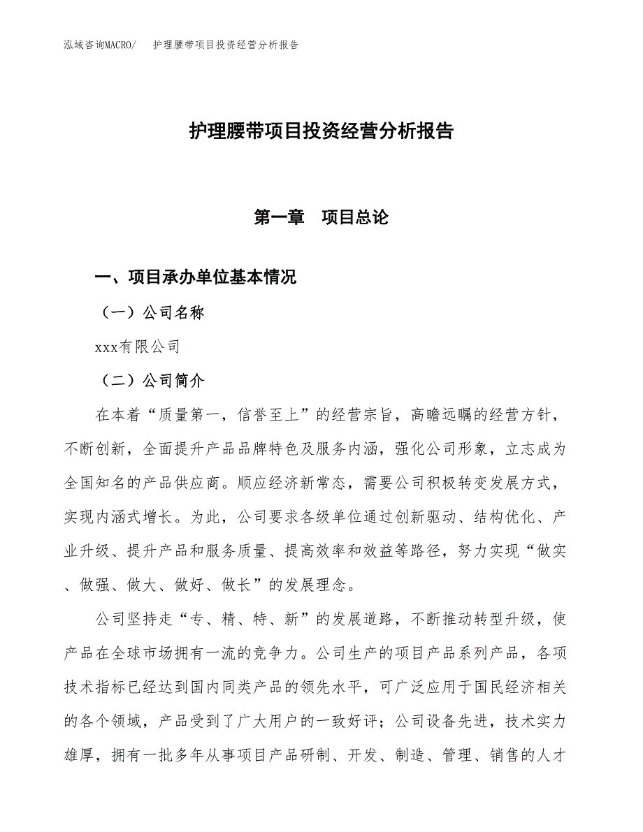 护理腰带项目投资经营分析报告模板.docx_第1页