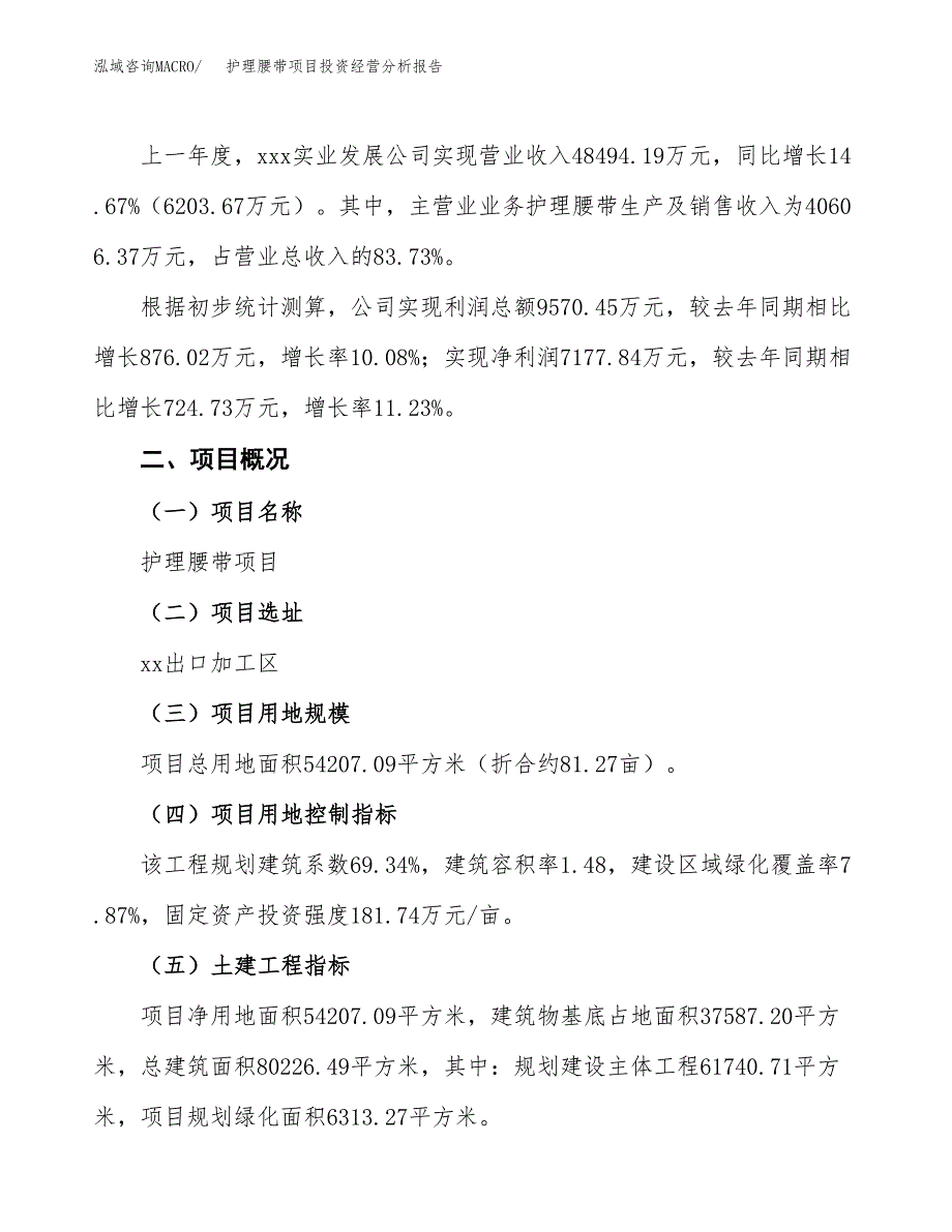 护理腰带项目投资经营分析报告模板.docx_第3页