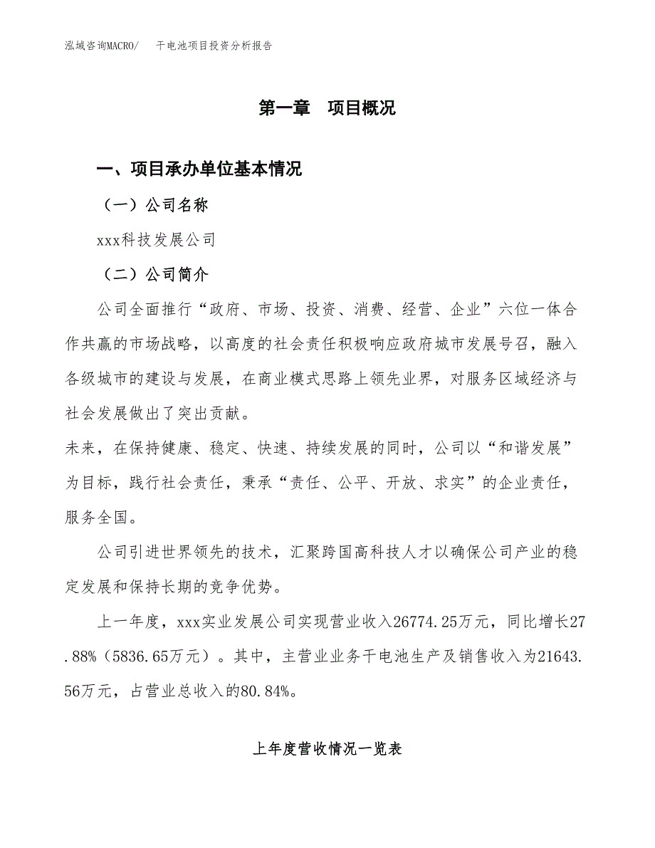 干电池项目投资分析报告（总投资17000万元）（64亩）_第2页