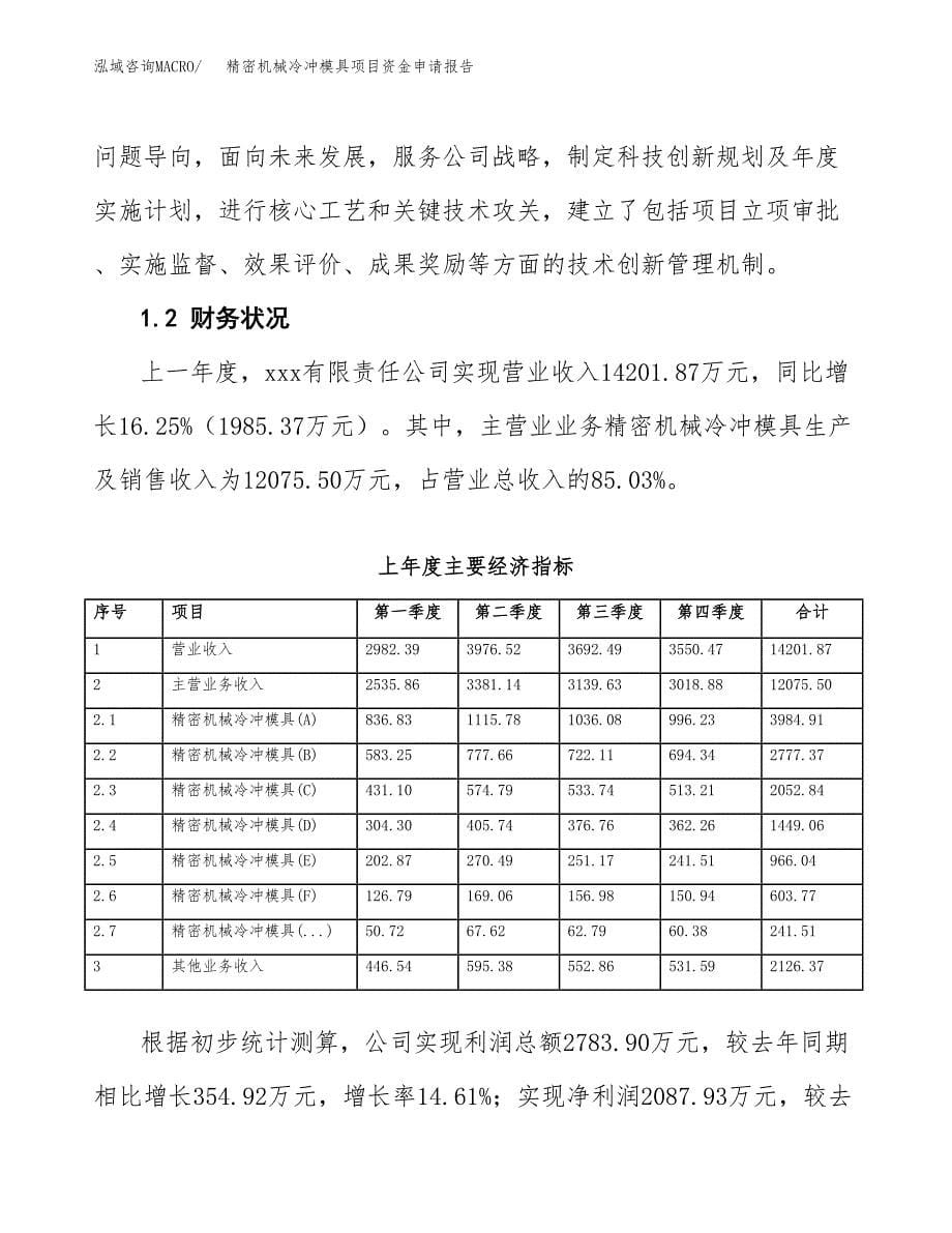 精密机械冷冲模具项目资金申请报告_第5页