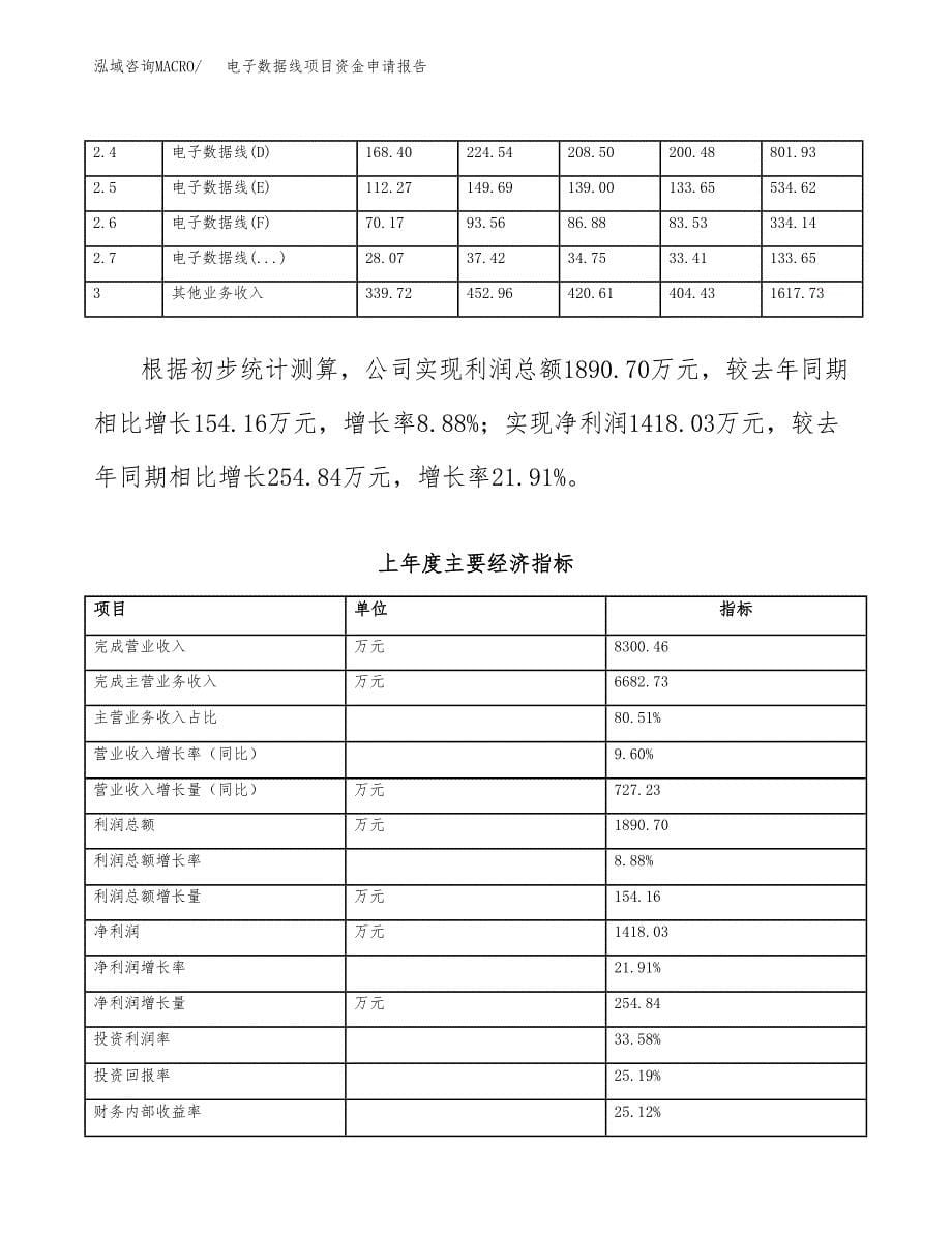 电子数据线项目资金申请报告 (1)_第5页