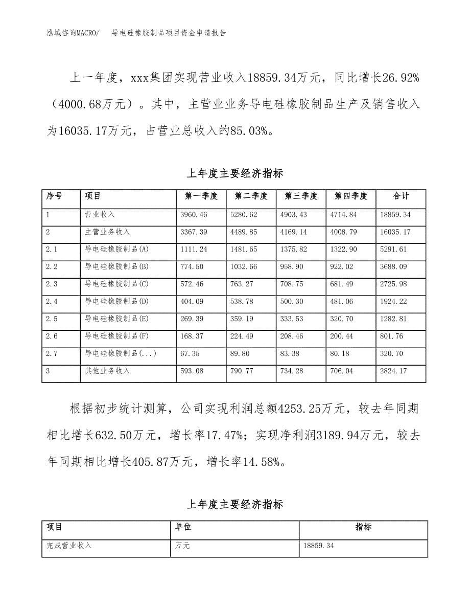 导电硅橡胶制品项目资金申请报告_第5页