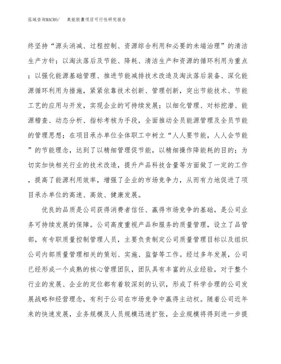 奥能胶囊项目可行性研究报告汇报设计.docx_第5页