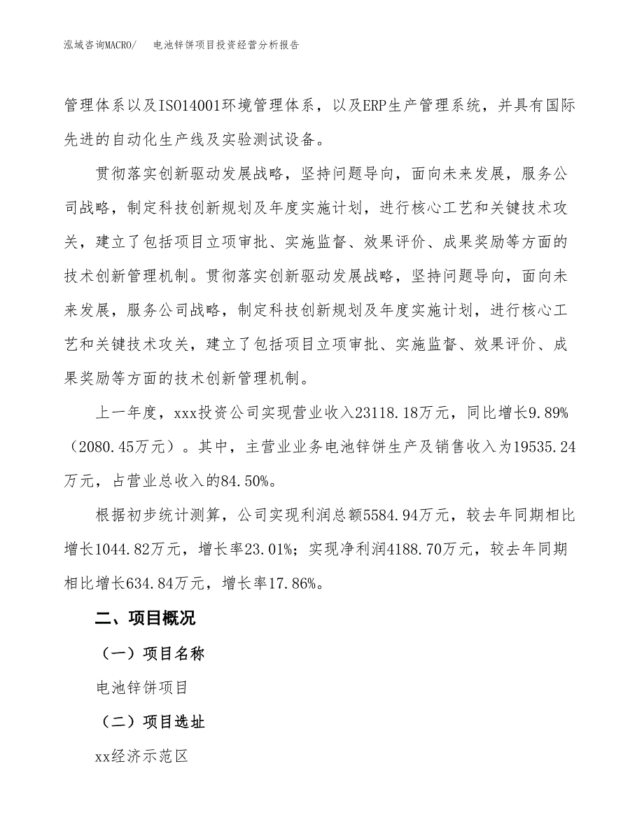 电池锌饼项目投资经营分析报告模板.docx_第2页