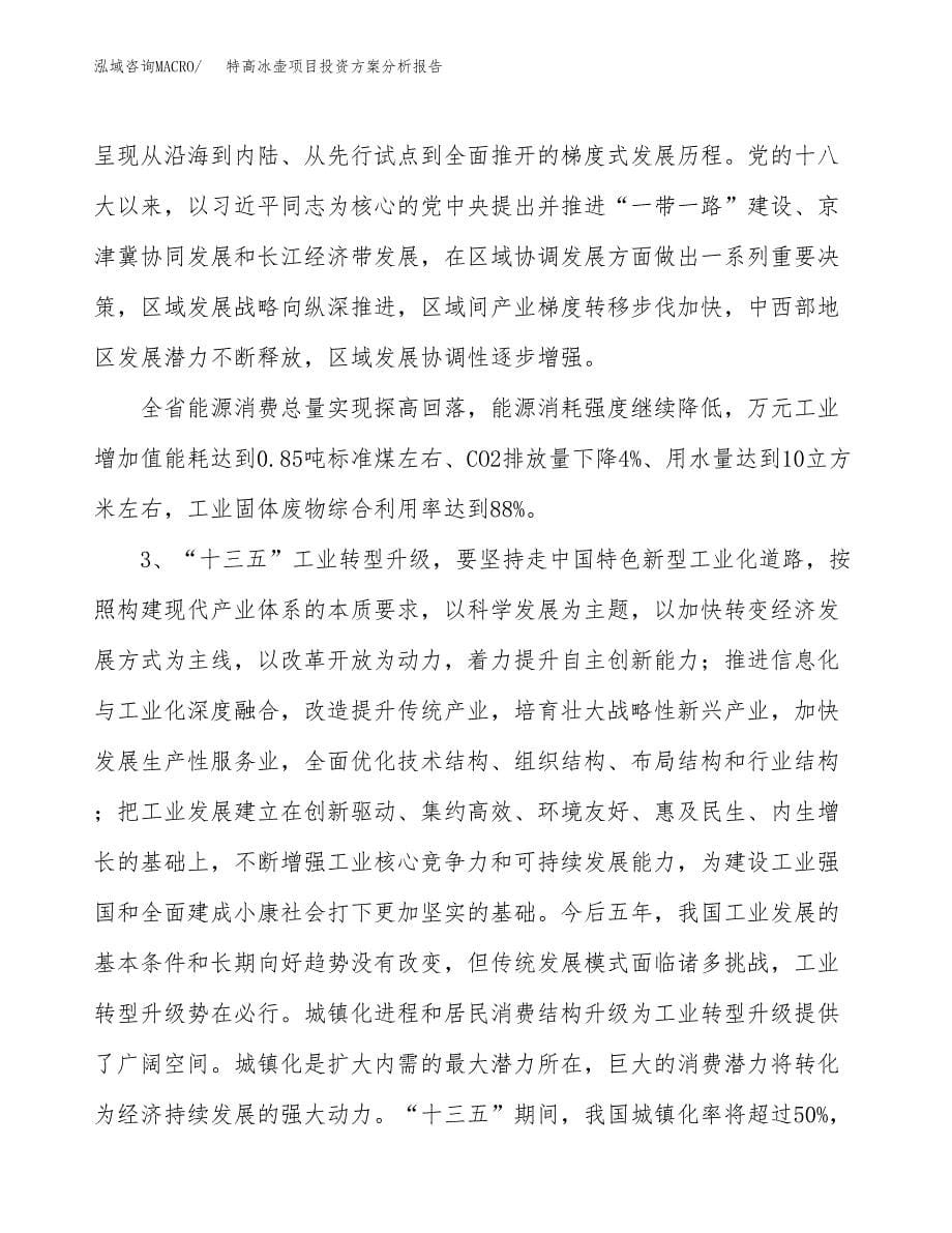 特高冰壶项目投资方案分析报告.docx_第5页