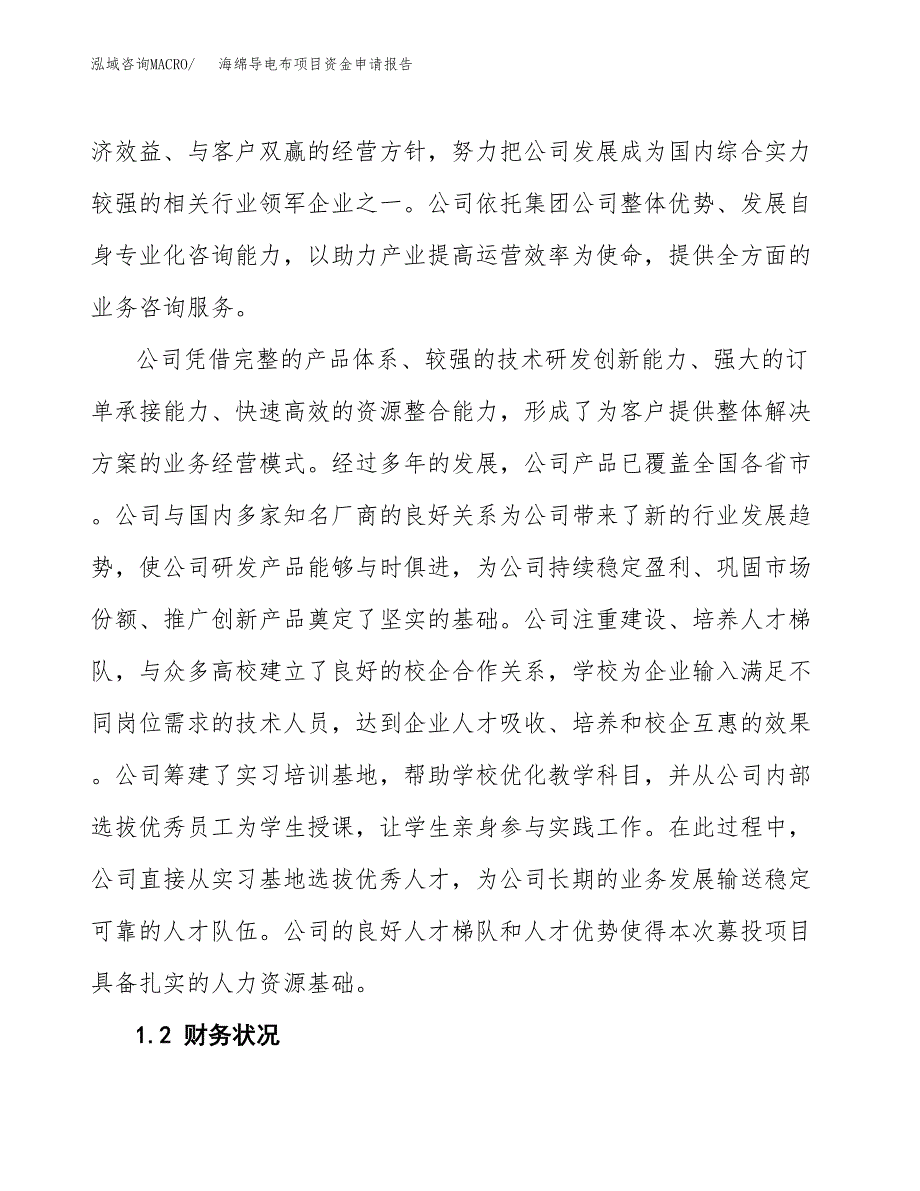 海绵导电布项目资金申请报告_第4页