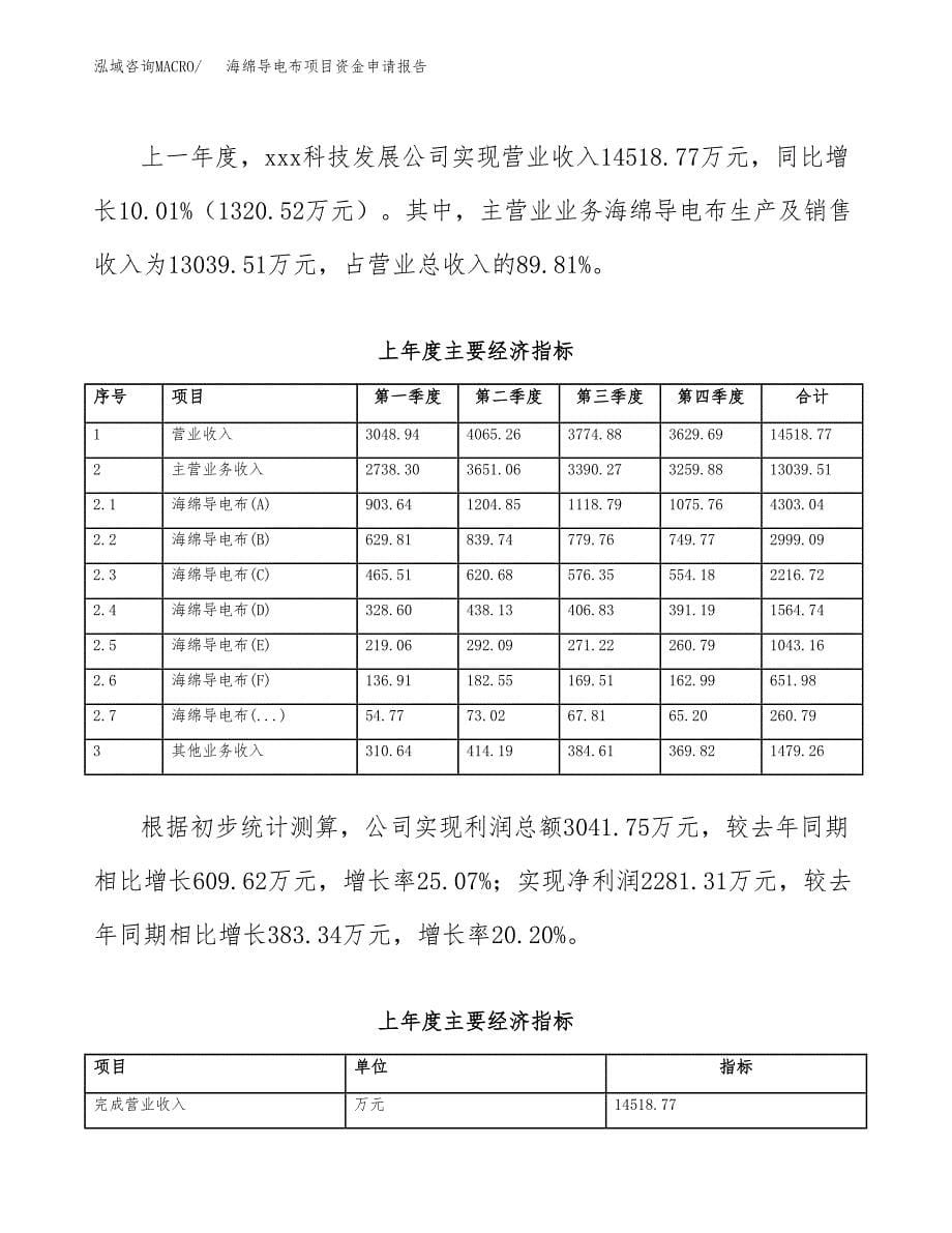 海绵导电布项目资金申请报告_第5页