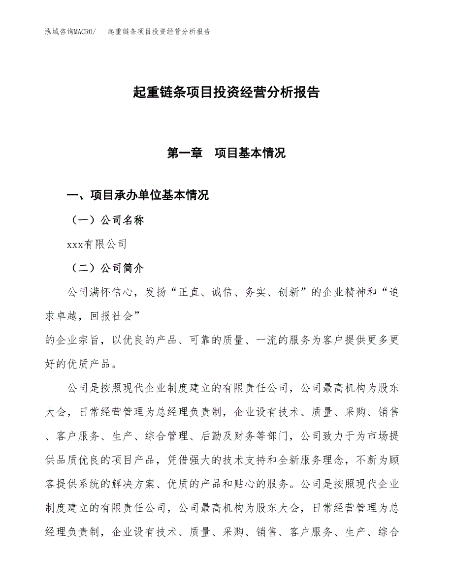 起重链条项目投资经营分析报告模板.docx_第1页