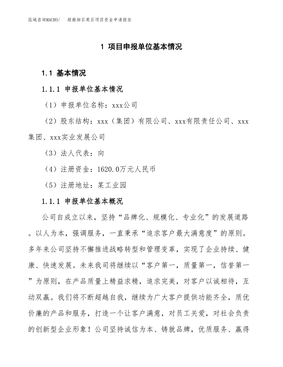 超微细石英石项目资金申请报告_第3页