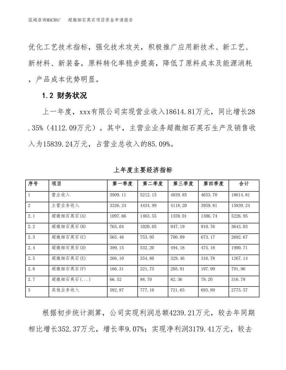 超微细石英石项目资金申请报告_第5页