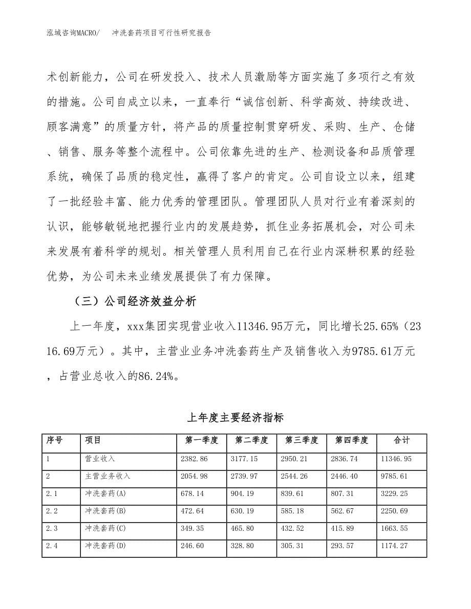 冲洗套药项目可行性研究报告汇报设计.docx_第5页