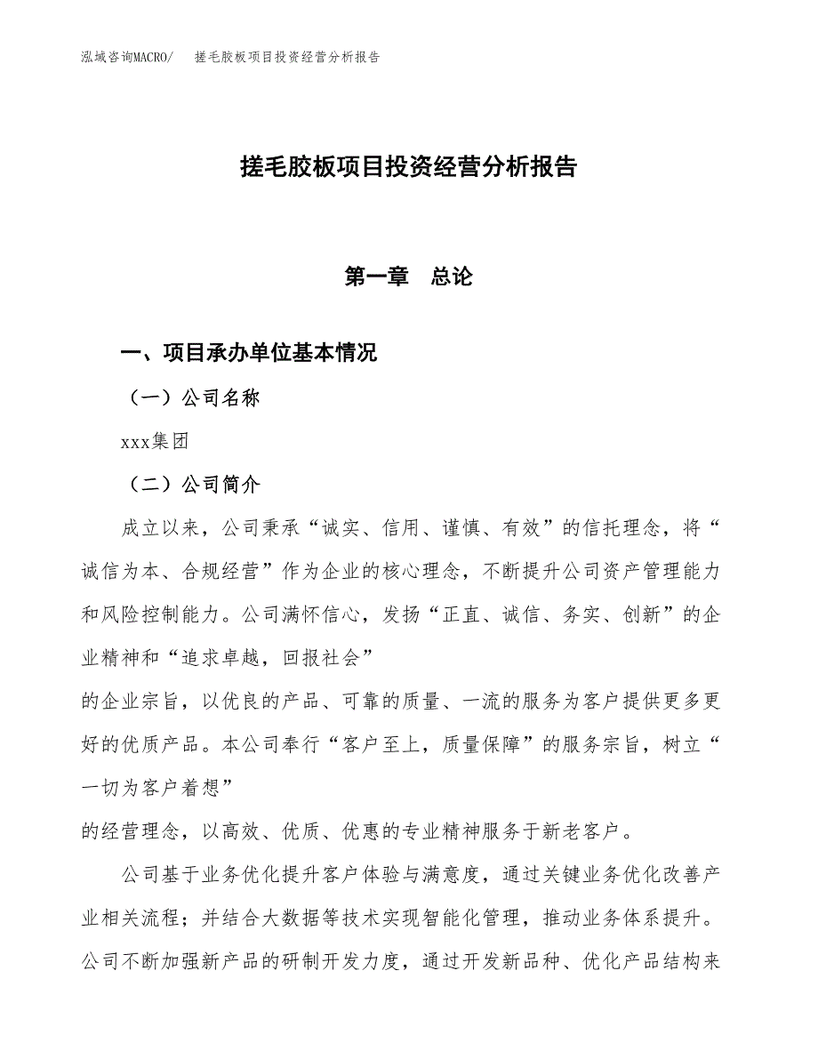 搓毛胶板项目投资经营分析报告模板.docx_第1页