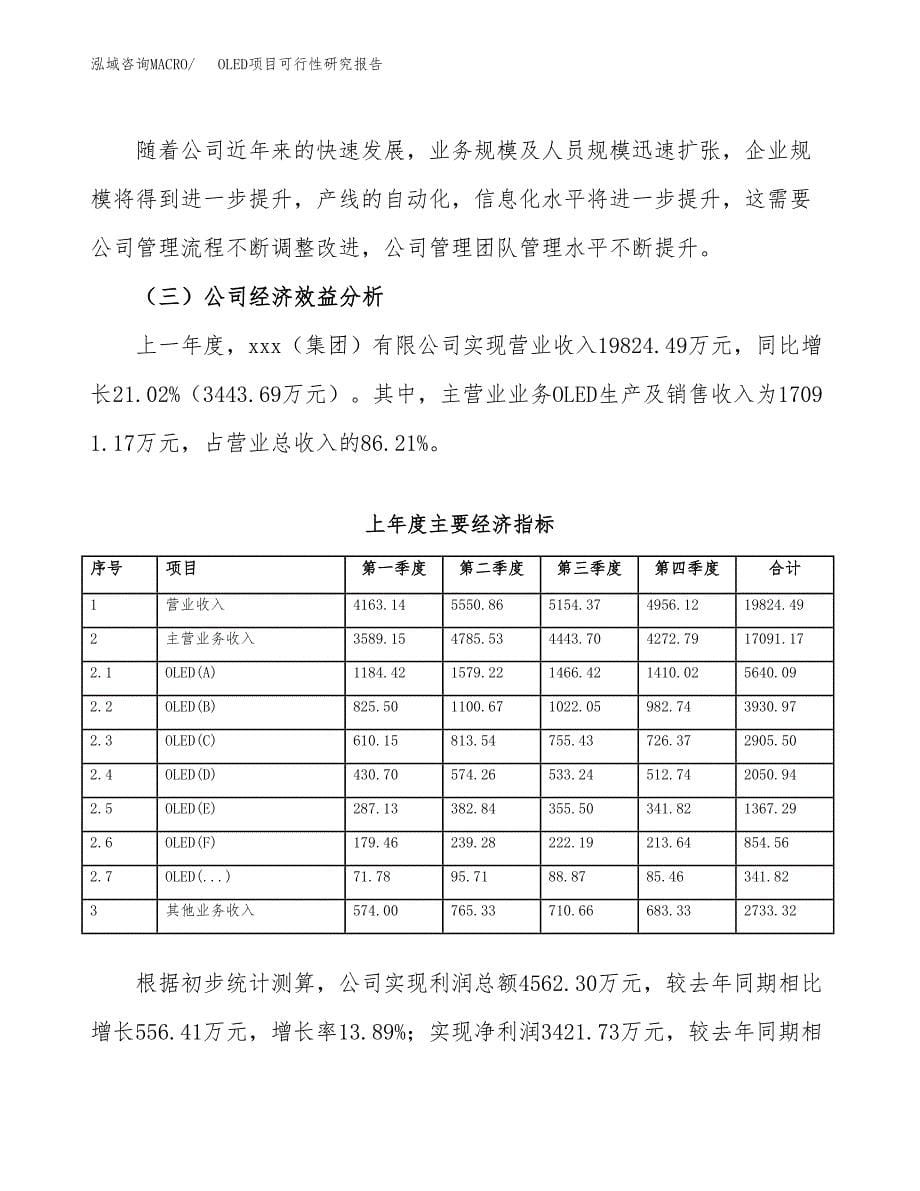 OLED项目可行性研究报告汇报设计.docx_第5页